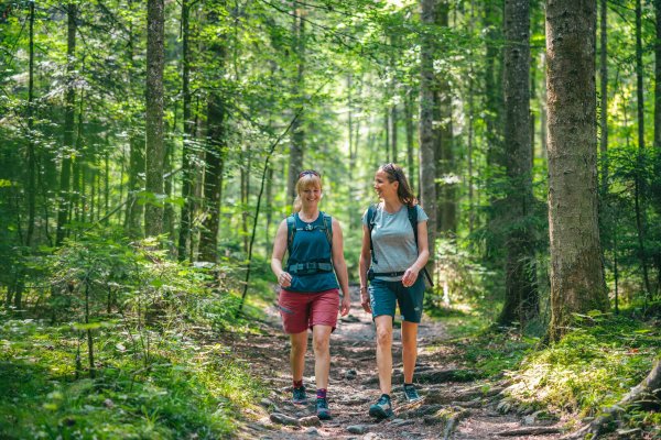 Wilder Kaiser_Wandern_Wald